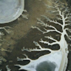 Meet your Posher, Violet